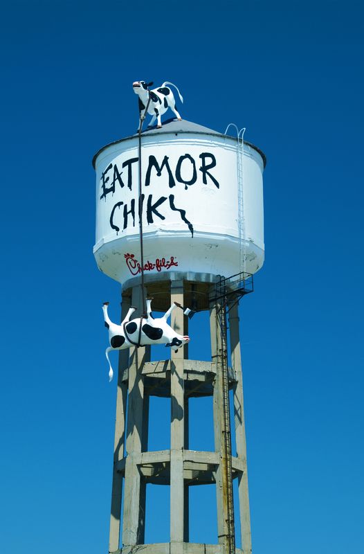 2008 – Climbing to new heights, the cows paint their first water tower